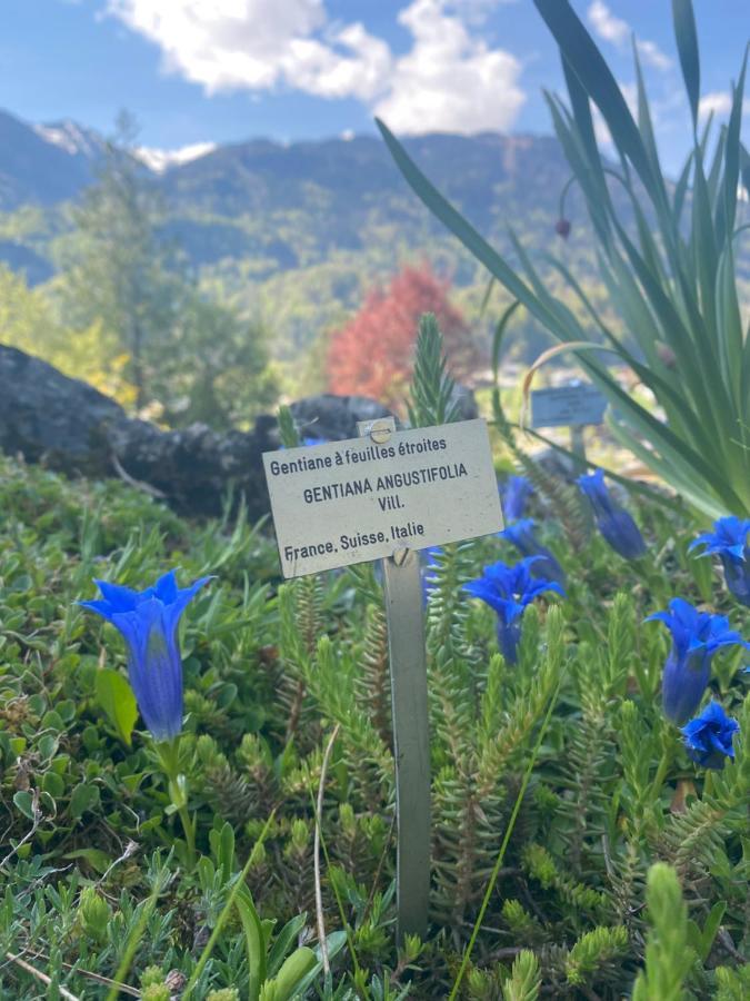 Appartement Rez-De-Chaussee, Cosy T3 4 A 6 Pers Avec Piscines Interieure & Exterieure A Samoens En Haute-Savoie Εξωτερικό φωτογραφία
