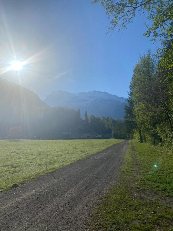Appartement Rez-De-Chaussee, Cosy T3 4 A 6 Pers Avec Piscines Interieure & Exterieure A Samoens En Haute-Savoie Εξωτερικό φωτογραφία